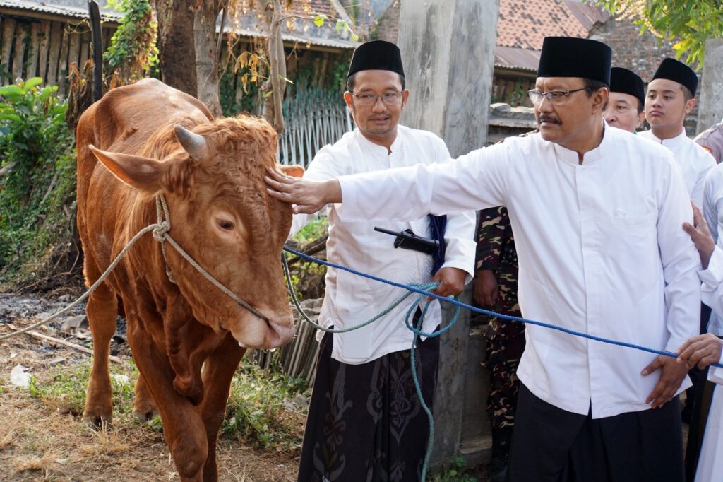 Tradisi Kurban yang Membawa Manfaat Besar bagi Warga